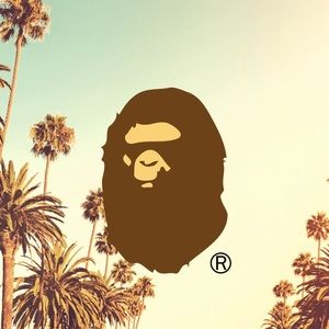 Meet your Posher, Tanner